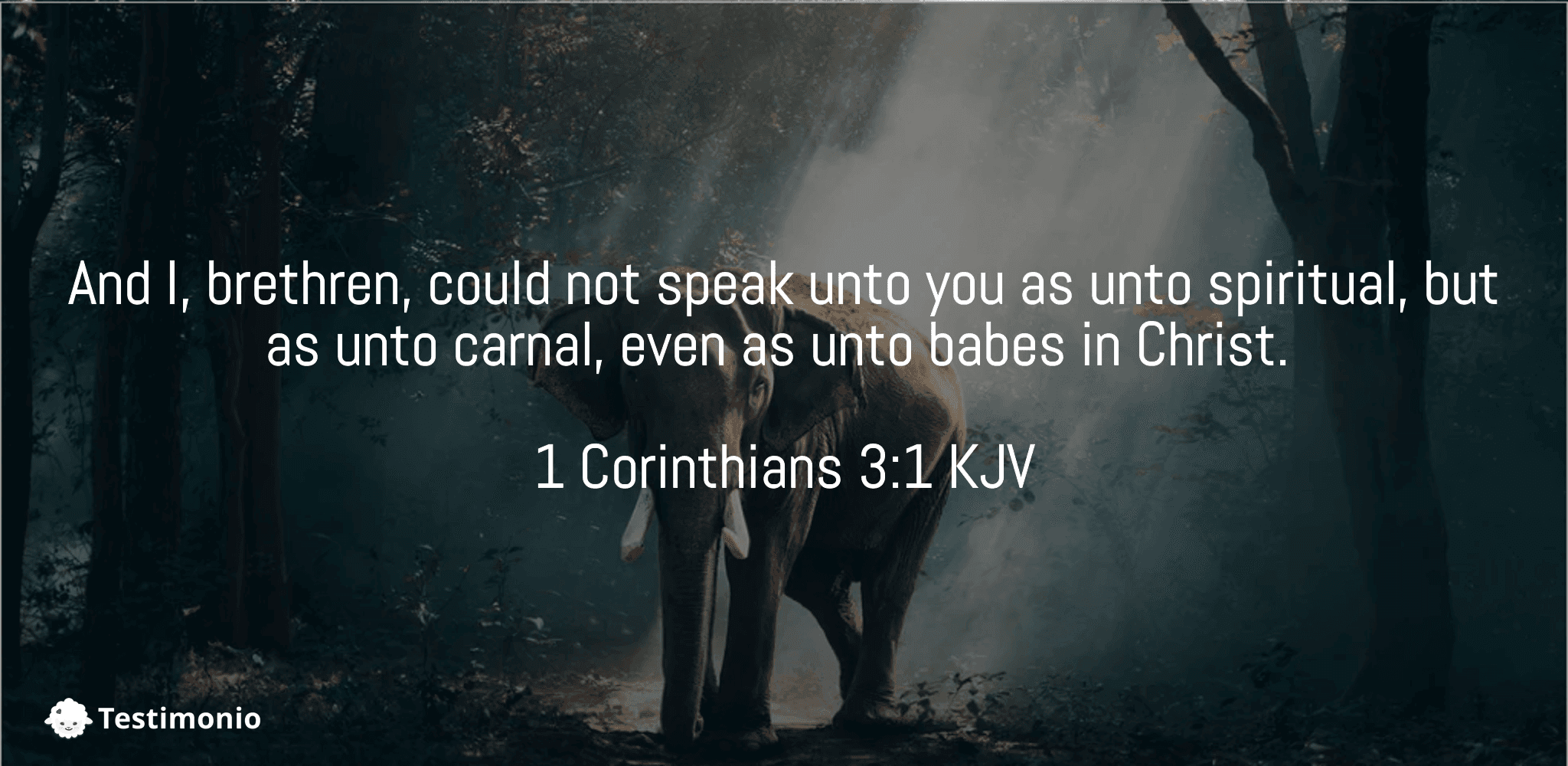 1 Corinthians 3:1