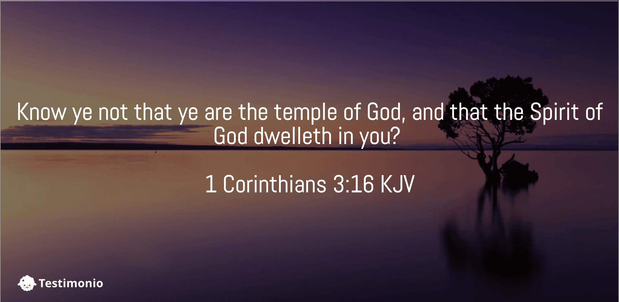 1 Corinthians 3:16