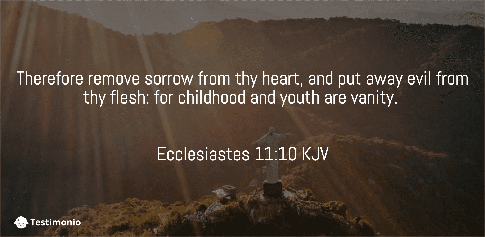 Ecclesiastes 11:10
