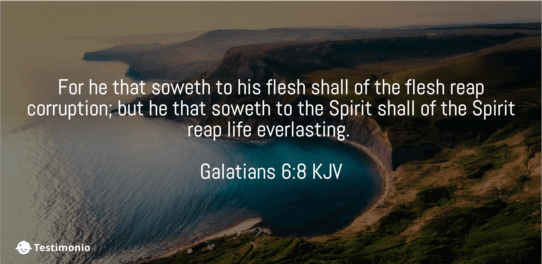 Galatians 6:8