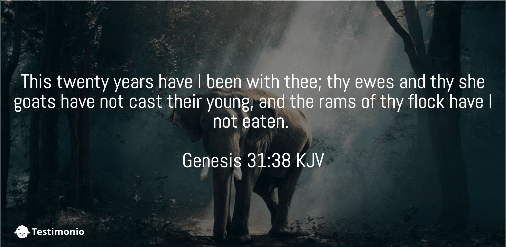 Genesis 31:38