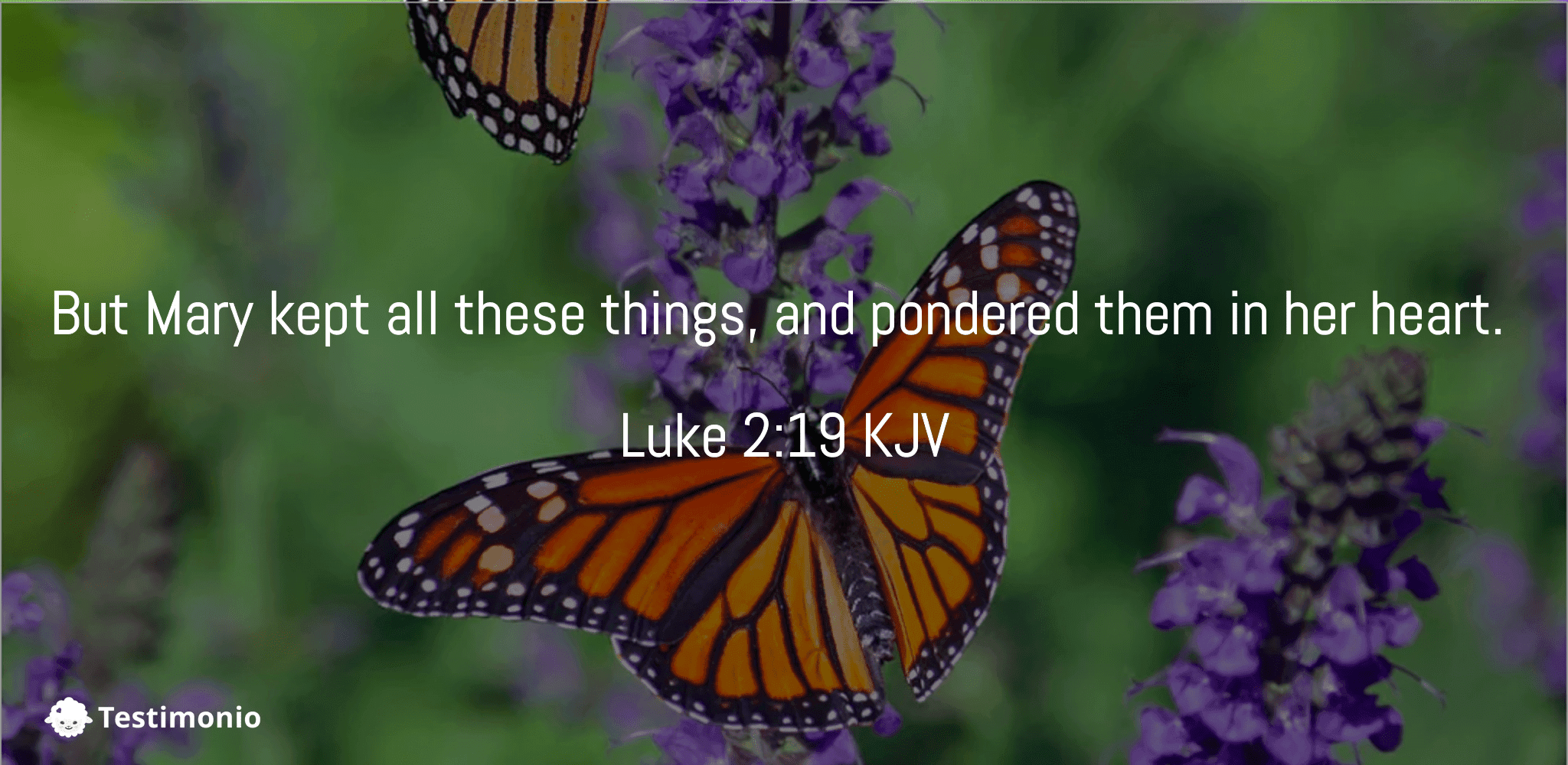 Luke 2:19