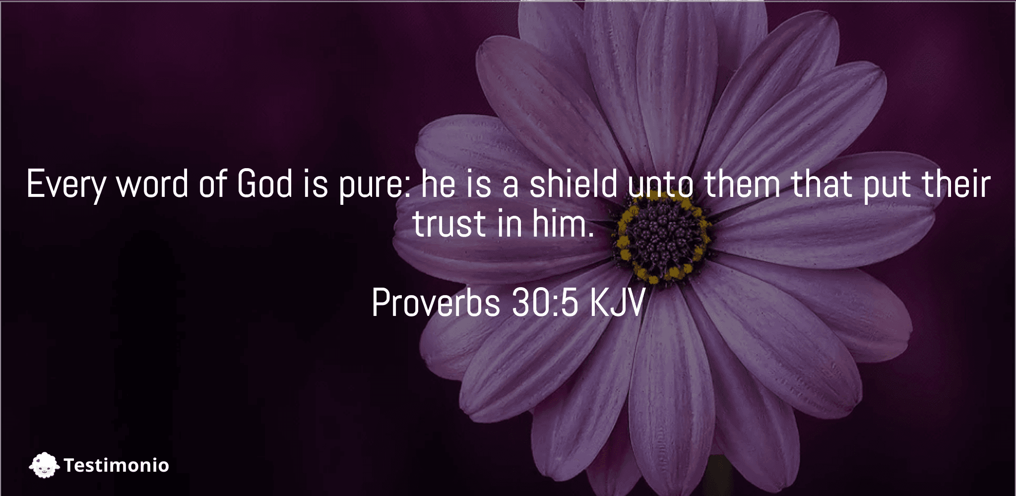 Proverbs 30:5