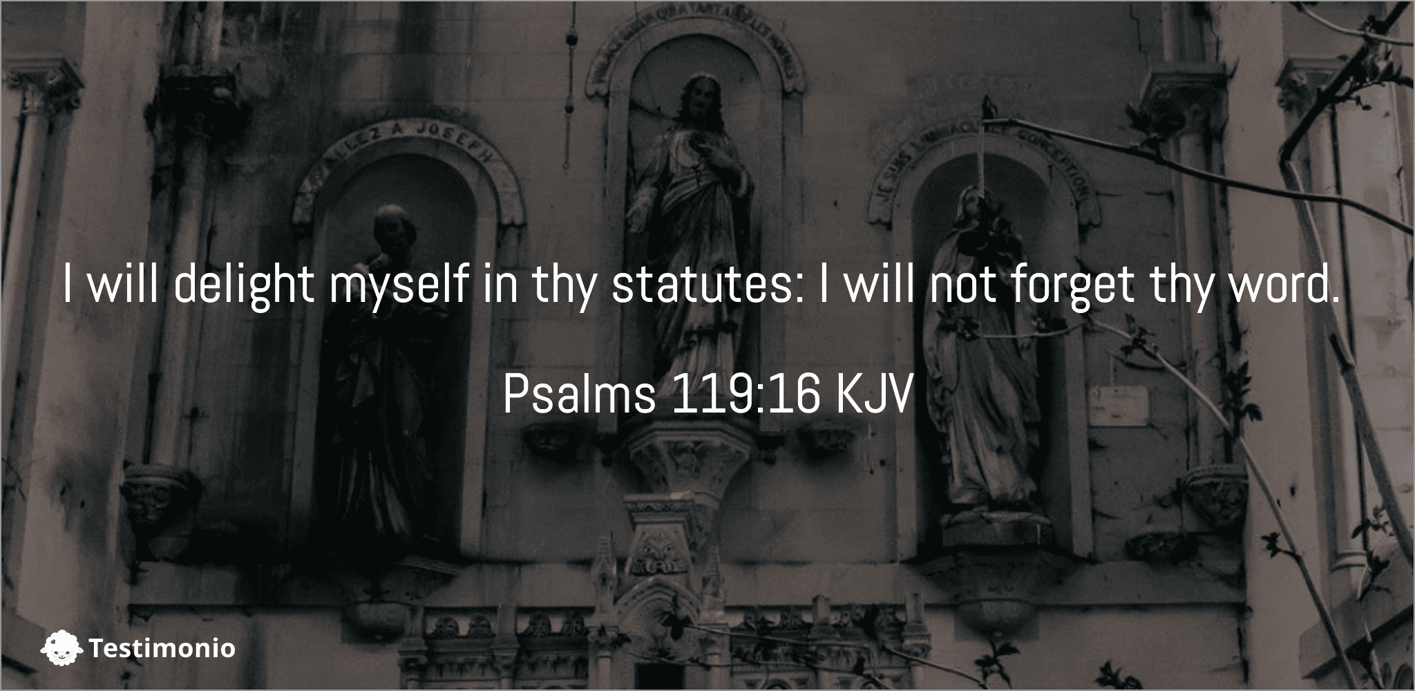Psalms 119:16