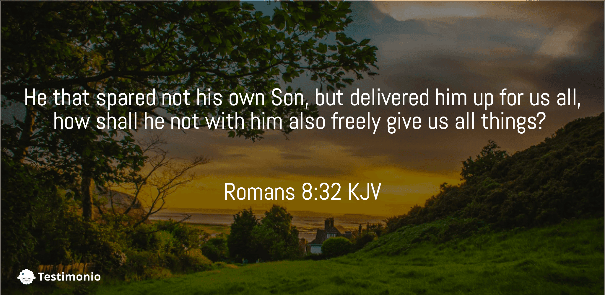 Romans 8:32